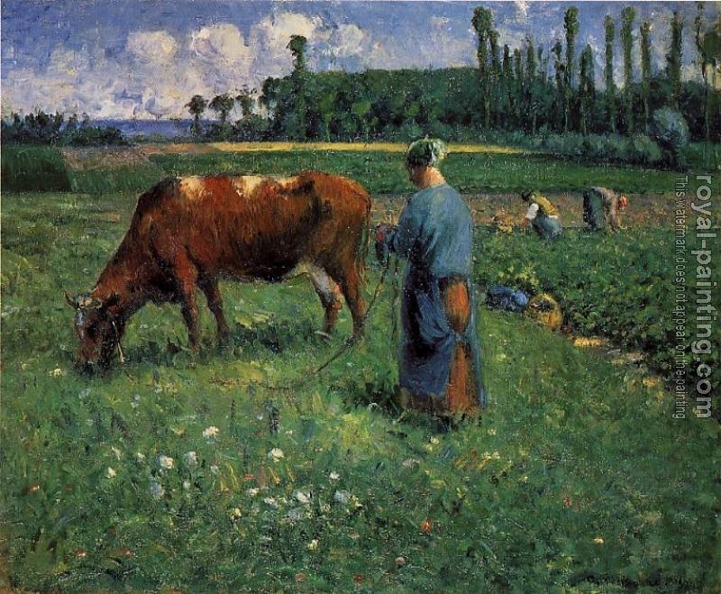 Camille Pissarro : Girl Tending a Cow in a Pasture